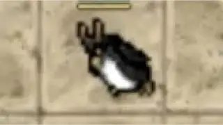 Pinguim 2 anos F