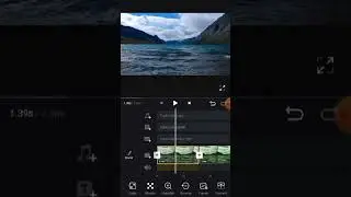 How to freeze option work in vn #tutorial #edit