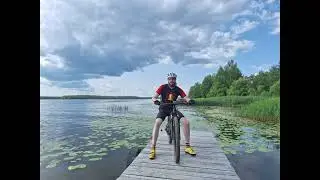 Медведица