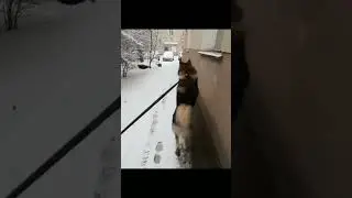 это моя коня ка? https://t.me/scmemec