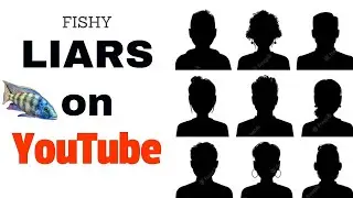 Who Can We Trust on YouTube?
