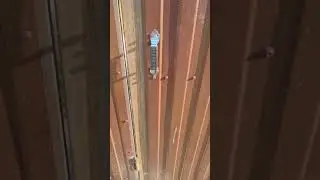 а что так можно было ?😄#приколы #прикол #видео #дача