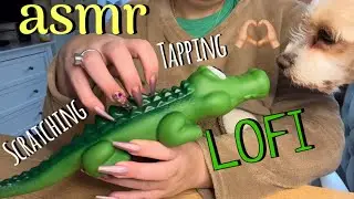 20 triggers in 20 minutes ~ LoFi ASMR 👌🏼Tapping and Scratching. Fast & Aggressive triggers! 