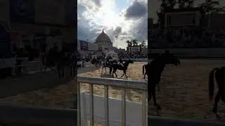 конный турнир