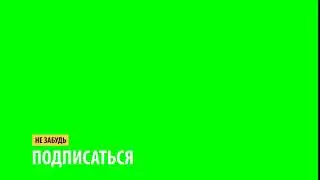 НЕ ЗАБУДЬ ПОДПИСАТЬСЯ ФУТАЖ НА ЗЕЛЁНОМ ФОНЕ