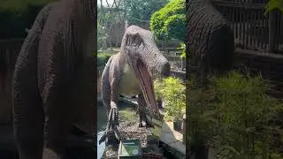 This Dinosaur can spit water out of it’s mouth!!💦😱 #shorts #dinosaur #dinosaurisland #animatronics