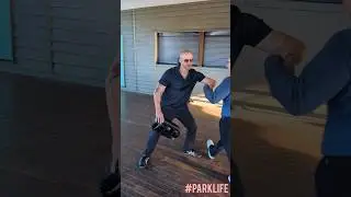 Yang Mian Quan Striking Fundamentals Shared with Mark by Adrian! 😎 #ParkLife #YangMianQuan #ShenYiQi