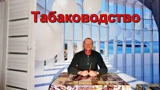 Табаководство: Дали совет, сделать так! Результат???