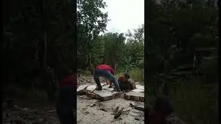 Gila, orang aneh, gagal caleg