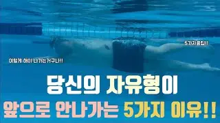 자유형이 안나가는 5가지 이유,  5가지 꿀팁!(필수시청!!)
