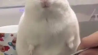 Милый