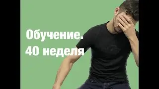 Обучение. 40 неделя