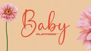 Platform  - Baby (Official Audio)