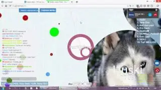 Как мы с Mr.MiHaNtEr играли в чашку петри