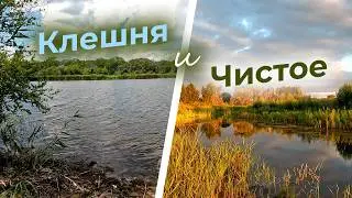 СЕВЕРОДОНЕЦК 2026 ОЗЕРО КЛЕШНЯ и ЧИСТОЕ СЕЙЧАС