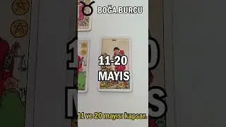 TAROTTA BOĞA BURCU (Tarot Günlüklerim)