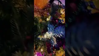 #MardiGrasTree with you all!!! I also got my new #dgiosmopocket3 today so I’m updating my content!!