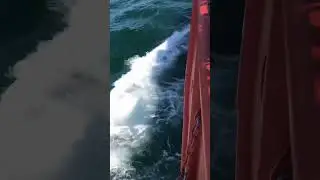 На нефтяной платформе в Каспийском море! 