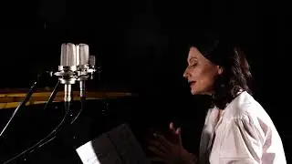 F. Schubert - Die Krähe (Winterreise №15)
