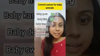 useful daily vocabulary #youtubeshorts #english #englishlearning