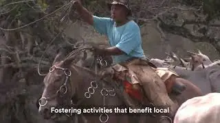 Discover Ecotourism: Adventure Meets Positive Impact
