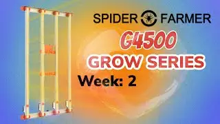 SPIDER FARMER G4500 Grow Series