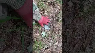 и такое у немцев было