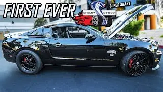The GT500 Super Snake Drag Pack... I BET YOU HAVEN'T SEEN THIS!