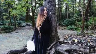 КАК В ЛЕС ПРИХОДИТ ОСЕНЬ. Ирина Алексеева
