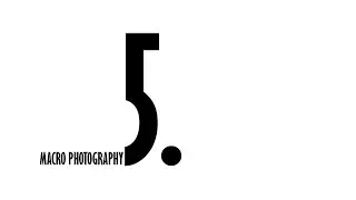 Macro photography - 5. #shorts #macro #photography #sonya7r3 #eyes