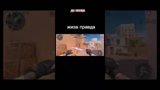 жиза 