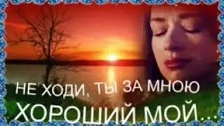 🐾Не ходи ты за мной хороший мой🐾 Классная песня👍👍👍