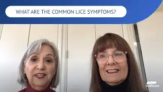 What Are The Common Lice Symptoms? | LiceDoctors