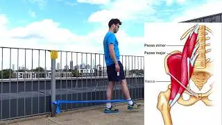 Hip Strengthening with an Elastic Band - Hip Flexion!