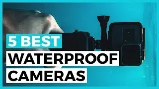 Best Waterproof Cameras in 2024 - How to Find the Best Waterproof Camera?
