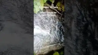 Beautiful water sounds with relaxing Music , Full video here 