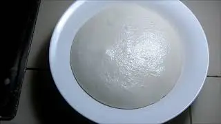 Chinese Steamed Buns (Mantou)