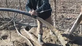 Артизан суви.