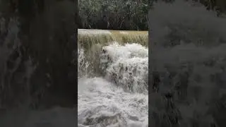 Water Falls  | Ilayaraja song | Mohan tamil songs | Tamil Melody Song