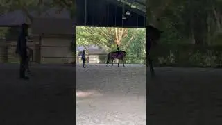 More restrict basic training #horseriding #sports #horse #yiyi#shorts