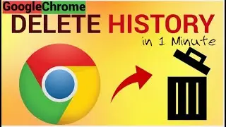 How to Delete Browsing Data from Google Chrome || How to Clear Browsing Data From Chrome