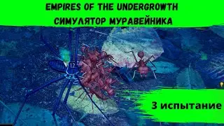 Empires of the Undergrowth - симулятор муравейника!➠ 3 испытание