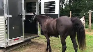 Loading in trailer