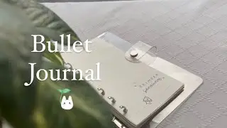 Bullet Journal De Abril 𓆝 •.𓆟 Plan With Me
