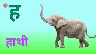 हिन्दी वर्णमाला | अ से अनार | क से कबूतर ख से खरगोश | k se kabutar | a se anar aa se aam | Varnmala