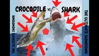 HUGE 20 FOOT SHARK DESTROYS GIANT CROCODILE