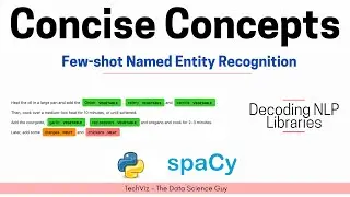 Few-shot Named Entity Recognition | Decoding NLP Libraries (Concise Concepts)