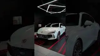 Приручи зверя! MG7