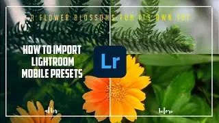 How do I copy a preset in Lightroom mobile? | Lightroom presets copy and paste settings
