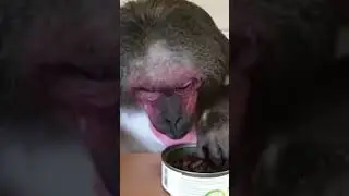 Маленький китаец застрял в глубокой яме